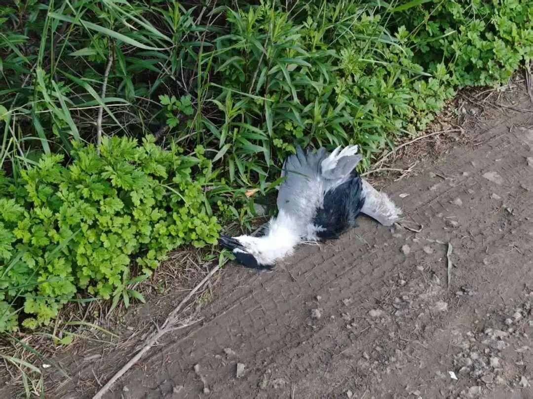 招投标改革的思考 为什么我们需要瘦身中间环节？