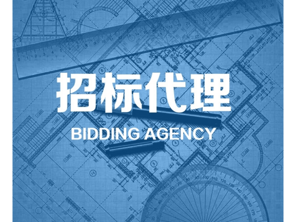 偃师招标代理与招投标代理服务 全方位解析与选择指南